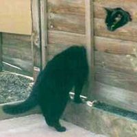 Stretched Pussy
