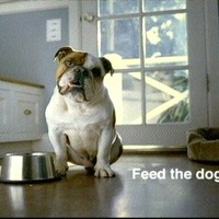 Feed me Bitch