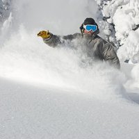 Virgin powder