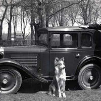 193? Bantam (creators of the Jeep)