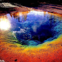 YNP thermal pool