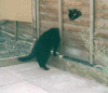 Curiosity killed the cat.