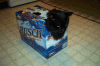 Redneck cat carrier.