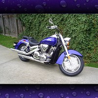 more pics of my new bike...