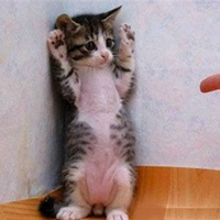 Stick 'em up