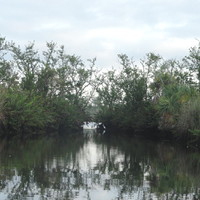 why I like a canoe