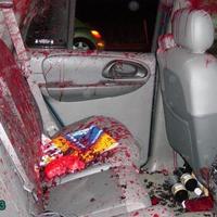 Deer hit