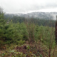 Pacific Northwest