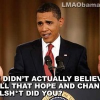 Obamanation
