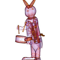 bunny is 5 letters