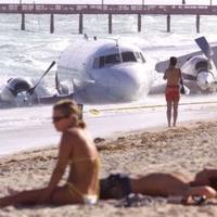 fly in beach