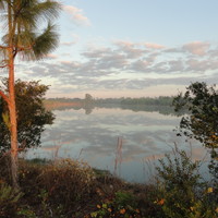 reflective morning