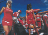 F1 chicks