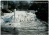 Fuck winter