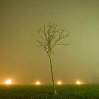 Spotlight (Terraspirit series)