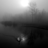 WICKED PIC
