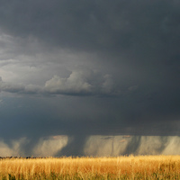 WICKED PIC