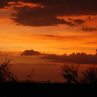 WICKED PIC