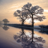 WICKED PIC