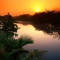 Sunlight waning upon the water