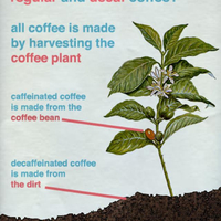 What's the difference between regular and decaffeinated coffee?