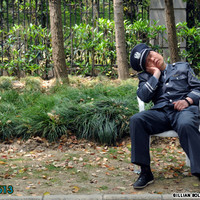 Are YOU qualified for working security? 