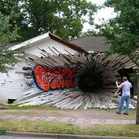 The black hole
