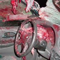 Deer hit