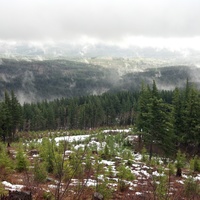 Pacific Northwest