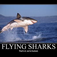 flying sharks