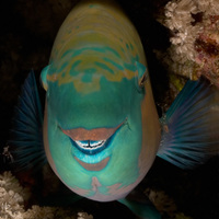 SMILE............