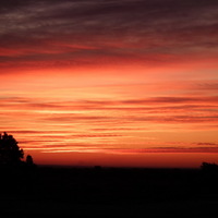 Sunsets Rule