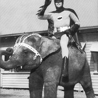 quick Robin, to the Bat elephant!!