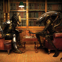 alien vs predator