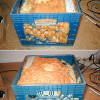 The new I crate