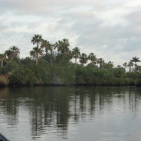 The Black Lagoon
