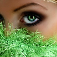 The Eyes Have It