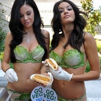 More lettuce please...