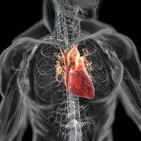 Heart in design