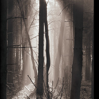 Spirits