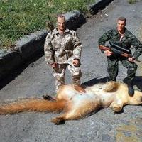 Great white hunters