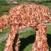 In a galaxy far far away... bacon