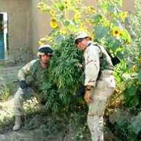 SEE GUYS....IRAQ ISNT SO BAD