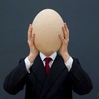 Egg Head