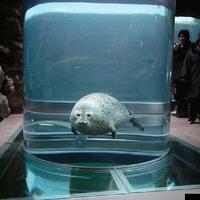 Seaworld_Somewhere