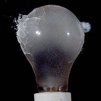 Bulb vs. Pellet