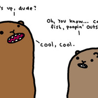 bears.