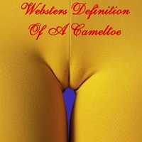 WEBSTERS DEFINITION OF A CAMEL TOE
