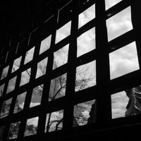 Window by Ying