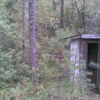 Where the bears shit in the woods